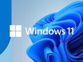 Microsoft e i produttori di SSD devono ancora verificare il problema (fonte: Microsoft)