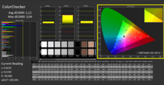 CalMAN: ColorChecker (calibrato)