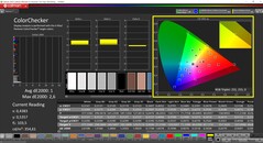 CalMAN ColorChecker (profilo: P3, spazio colore di destinazione: P3)