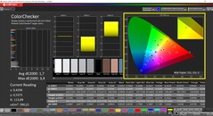 CalMAN ColorChecker (profilo: P3, spazio colore di destinazione: P3)