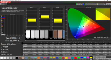 CalMAN - Precisione del colore (dopo la calibrazione)