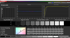 Scala di grigi post calibrazione (gamma di colore AdobeRGB)