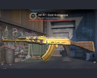 La skin Gold Arabesque per l'AK-47 in Counter Strike 2 (fonte: r/ohnePixel)