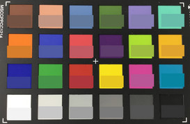 ColorChecker Passport: i colori di riferimento sono mostrati nella metà inferiore di ogni patch.