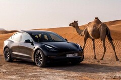 La Model 3 di Tesla è attualmente il veicolo più economico della casa automobilistica, con un prezzo di 37.940 dollari dopo i recenti sconti. (Fonte: Tesla)