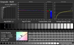 CalMAN: Scala di grigi (calibrato)