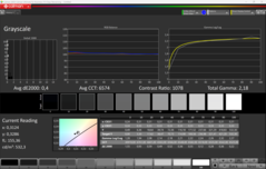 CalMAN Scala di grigi calibrata