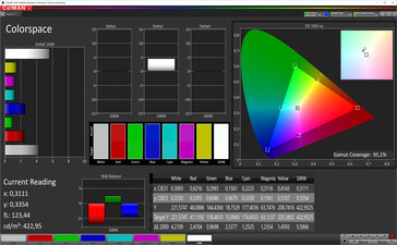CalMAN: Spazio colore - contrasto standard, spazio colore target sRGB