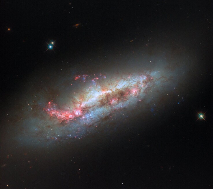 Immagine Hubble di NGC 1151 (Fonte: ESA/Hubble, NASA e D. Thilker)