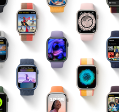 Apple ha lanciato la quarta revisione principale di watchOS 8. (Fonte: Apple)