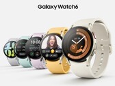 Il Galaxy Watch6 sarà disponibile in tre colori. (Fonte: Samsung via @evleaks)