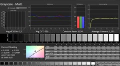 CalMAN: Scala di grigi (calibrata)