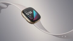 Il Fitbit Sense potrebbe essere l'ultimo smartwatch di punta Fitbit con Fitbit OS. (Fonte: Fitbit)