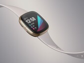 Il Fitbit Sense potrebbe essere l'ultimo smartwatch di punta Fitbit con Fitbit OS. (Fonte: Fitbit)