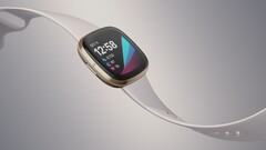 Il Fitbit Sense potrebbe essere l&#039;ultimo smartwatch di punta Fitbit con Fitbit OS. (Fonte: Fitbit)