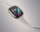 Il Fitbit Sense potrebbe essere l'ultimo smartwatch di punta Fitbit con Fitbit OS. (Fonte: Fitbit)