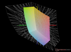 rispetto ad Adobe RGB: 40,7% di copertura