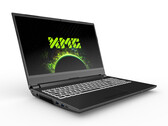 L'XMG APEX 15 M21 ha un sacco di porte, tra cui HDMI 2.1. (Fonte immagine: XMG)
