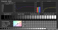 CalMAN: scala di grigi (calibrata)