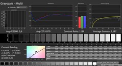 CalMAN: scala di grigi (calibrata)