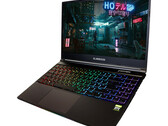 Lo Slimbook Titan offre molte prestazioni considerando il prezzo di partenza. (Fonte dell'immagine: Slimbook)