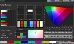 Gamma cromatica CalMAN sRGB