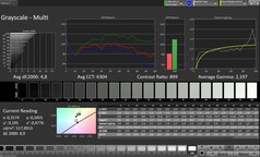 Scala di grigi CalMAN