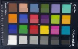 ColorChecker: Il colore target viene visualizzato nella metà inferiore di ciascun campo.