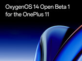 OnePlus offre ora Android 14 in forma beta per il OnePlus 11. (Fonte: OnePlus)