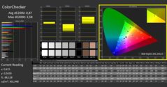 CalMAN - Color Checker (calibrato)