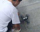 Il DJI Mini 5 Pro è già in fase di test. (Fonte: Igor Bogdanov)