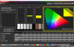 CalMAN ColorChecker calibrato