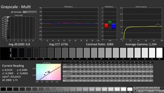 CalMAN: scala di grigi (calibrata)