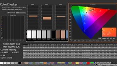 CalMAN: ColorChecker (calibrato)