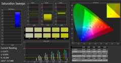 CalMAN ColorChecker calibrato