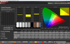 CalMAN ColorChecker calibrato