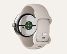 All'inizio del mese, Google ha dato una prima occhiata al Pixel Watch 2. (Fonte: Google)