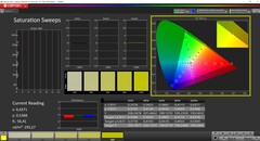 CalMAN Saturazione calibrata (spazio colore DCI-P3)