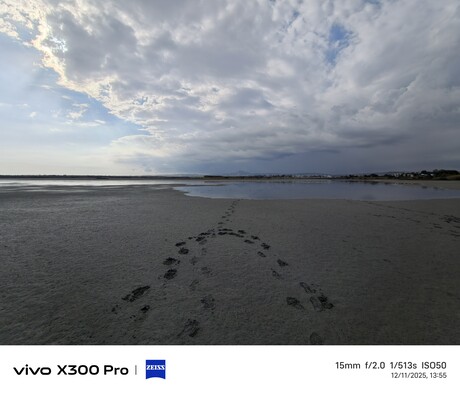 Vivo X300 Pro: Campione fotografico