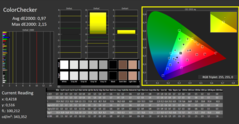 CalMAN - ColorChecker (calibrato)