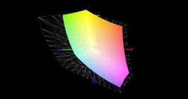 60% di copertura della gamma di colore AdobeRGB