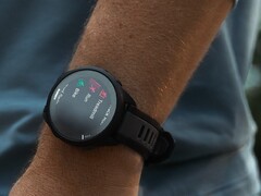 È arrivata la versione 22.26 del software dello smartwatch Garmin Forerunner 165. (Fonte: Garmin)