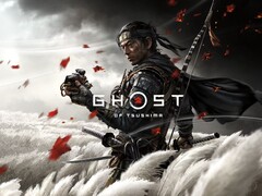 Immagine ufficiale del gioco Ghost of Tsushima. (Fonte immagine: PlayStation)