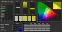 CalMAN - Saturation Sweeps (calibrato)