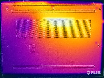 Temperature superficiali durante lo stress test (in basso)