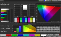 Copertura dello spazio colore CalMAN