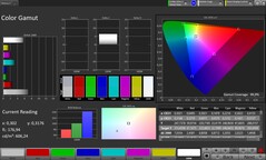 Gamma cromatica CalMAN sRGB