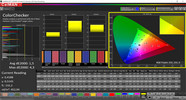 CalMAN professional optimized precisione del colore