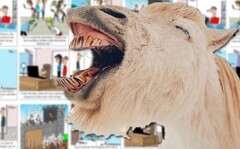 Ned rise fino a diventare un po' rauco. (Fonte: Jerry King/Unsplash - modificato)