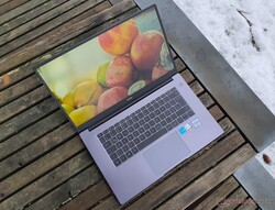 In recensione: Huawei MateBook D 15 Intel (2021), fornito da Huawei Germania.